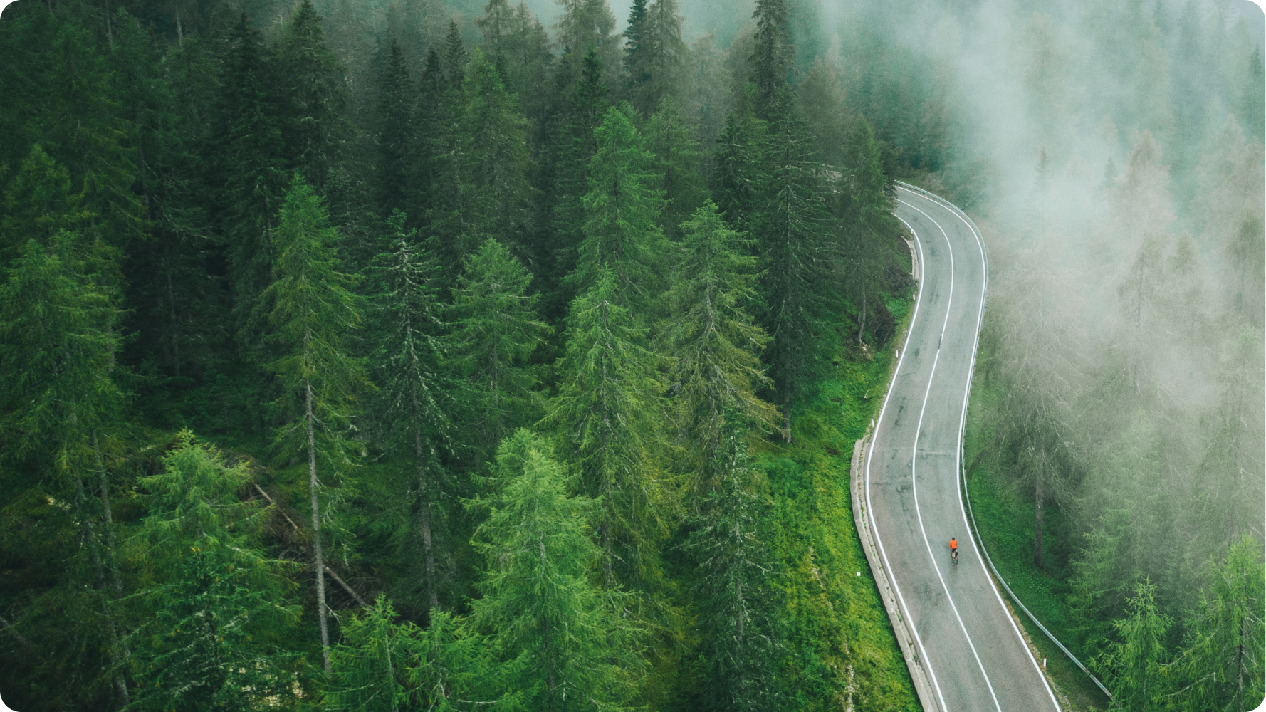 Scenic Pacific Northwest cycling route through forest